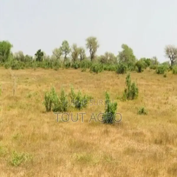 Terrain De 1,28 Hectare Vers Koul