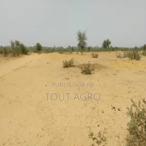 Terrain De 1,28 Hectare Vers Niakhar