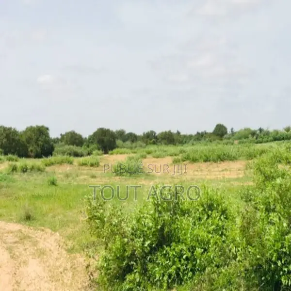 Terrain De 1,28 Hectare Vers Notto Diobass