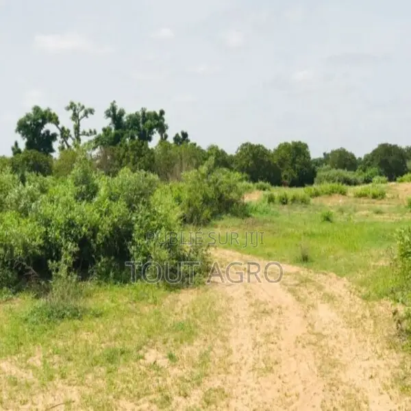 Terrain De 1,28 Hectare Vers Notto Diobass