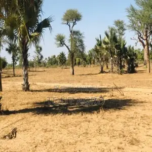 Photo - Terrain De 1,29 Hectare Vers Notto Diobass