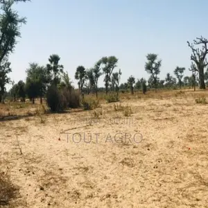 Terrain De 1,29 Hectare Vers Notto Diobass