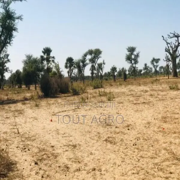 Terrain De 1,29 Hectare Vers Notto Diobass