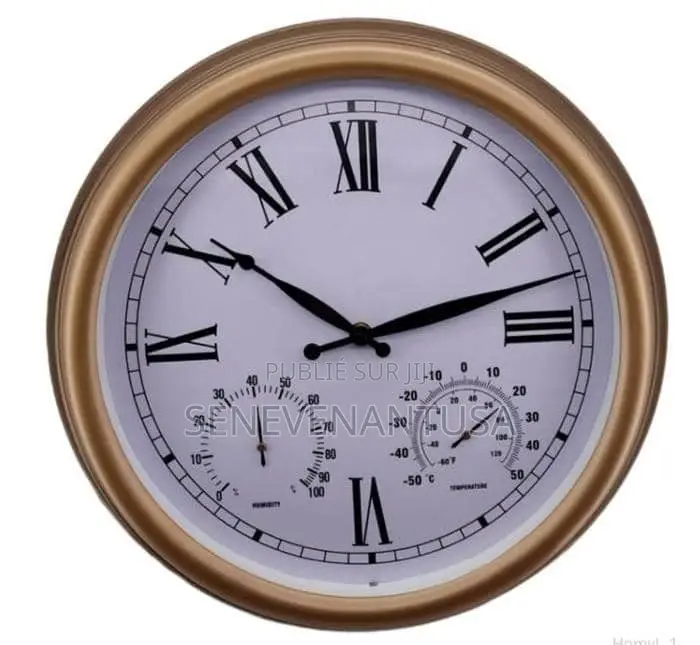 Horloge Murale Extérieure Hyacinthe