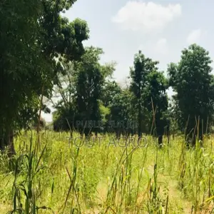 Terrain De 1,34 Hectare Vers Baba Garage