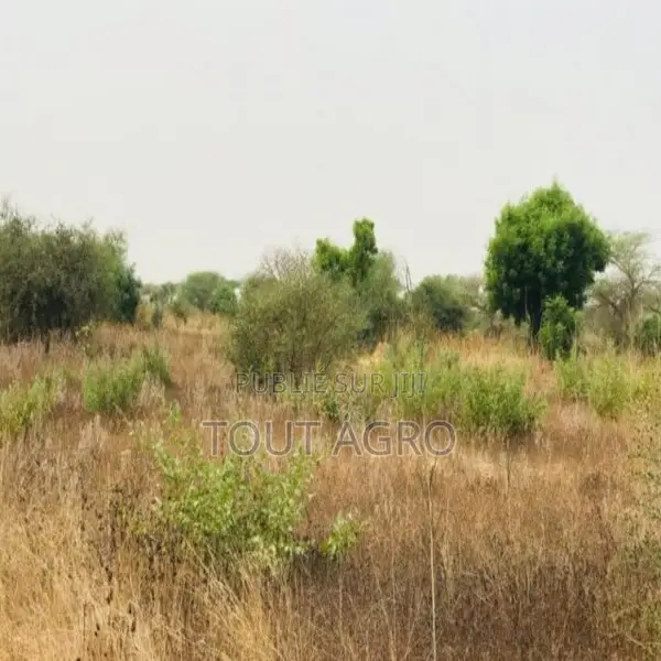 Terrain De 1,38 Hectare Vers Méouane