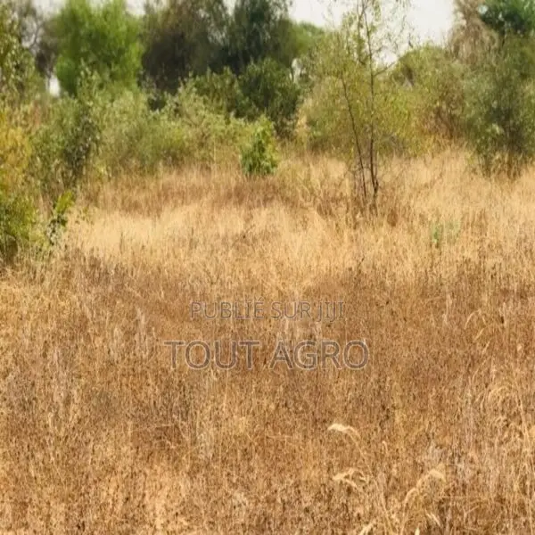 Terrain De 1,38 Hectare Vers Méouane