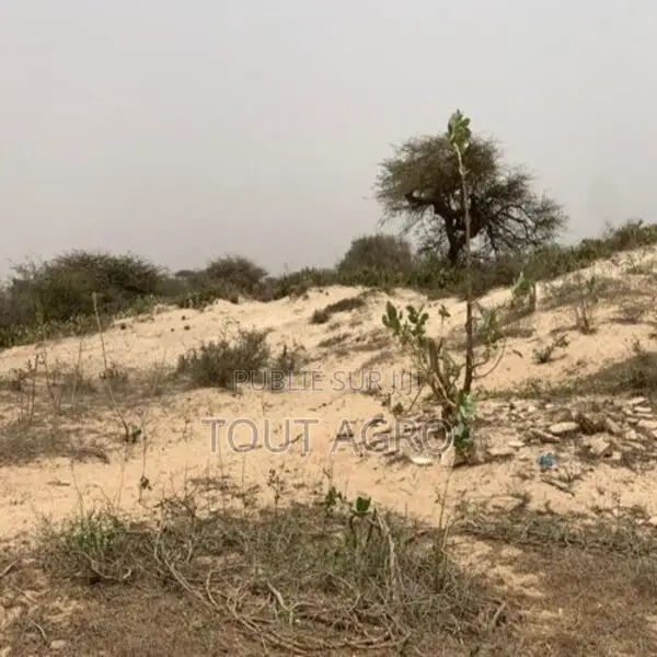 Terrain De 1,40 Hectare Vers Gandiol