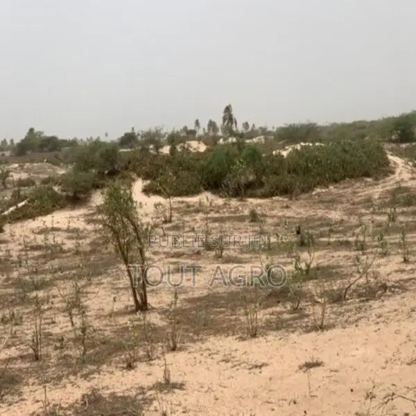 Terrain De 1,40 Hectare Vers Gandiol