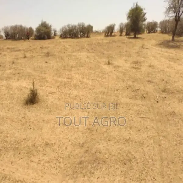 Terrain De 1,43 Hectare Vers Sagata