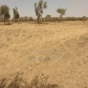 Terrain De 1,43 Hectare Vers Sagata