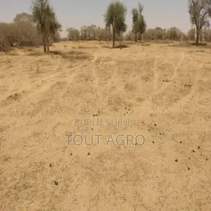 Terrain De 1,43 Hectare Vers Sagata