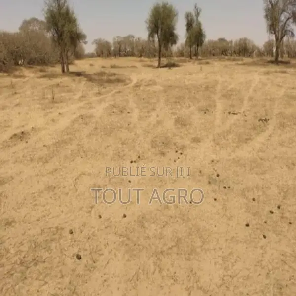 Terrain De 1,43 Hectare Vers Sagata