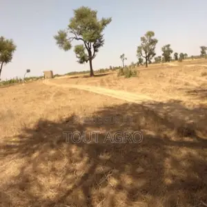 Photo - Terrain De 1,44 Hectare À Tassette