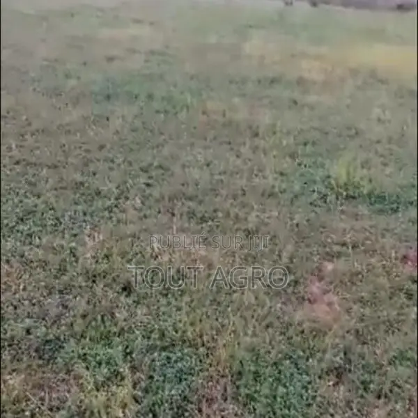Terrain De 1,44 Hectare Vers Tataguine