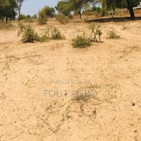 Terrain De 1,5 Hectare Vers Ngoundiane