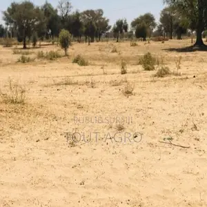 Terrain De 1,5 Hectare Vers Ngoundiane