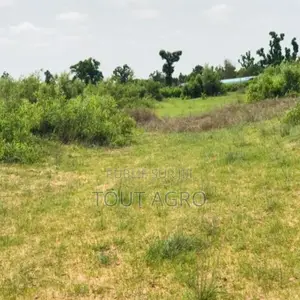 Photo - Terrain De 1,5 Hectare Vers Notto Diobass