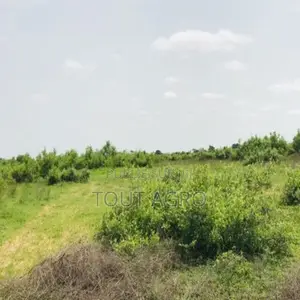 Terrain De 1,5 Hectare Vers Notto Diobass