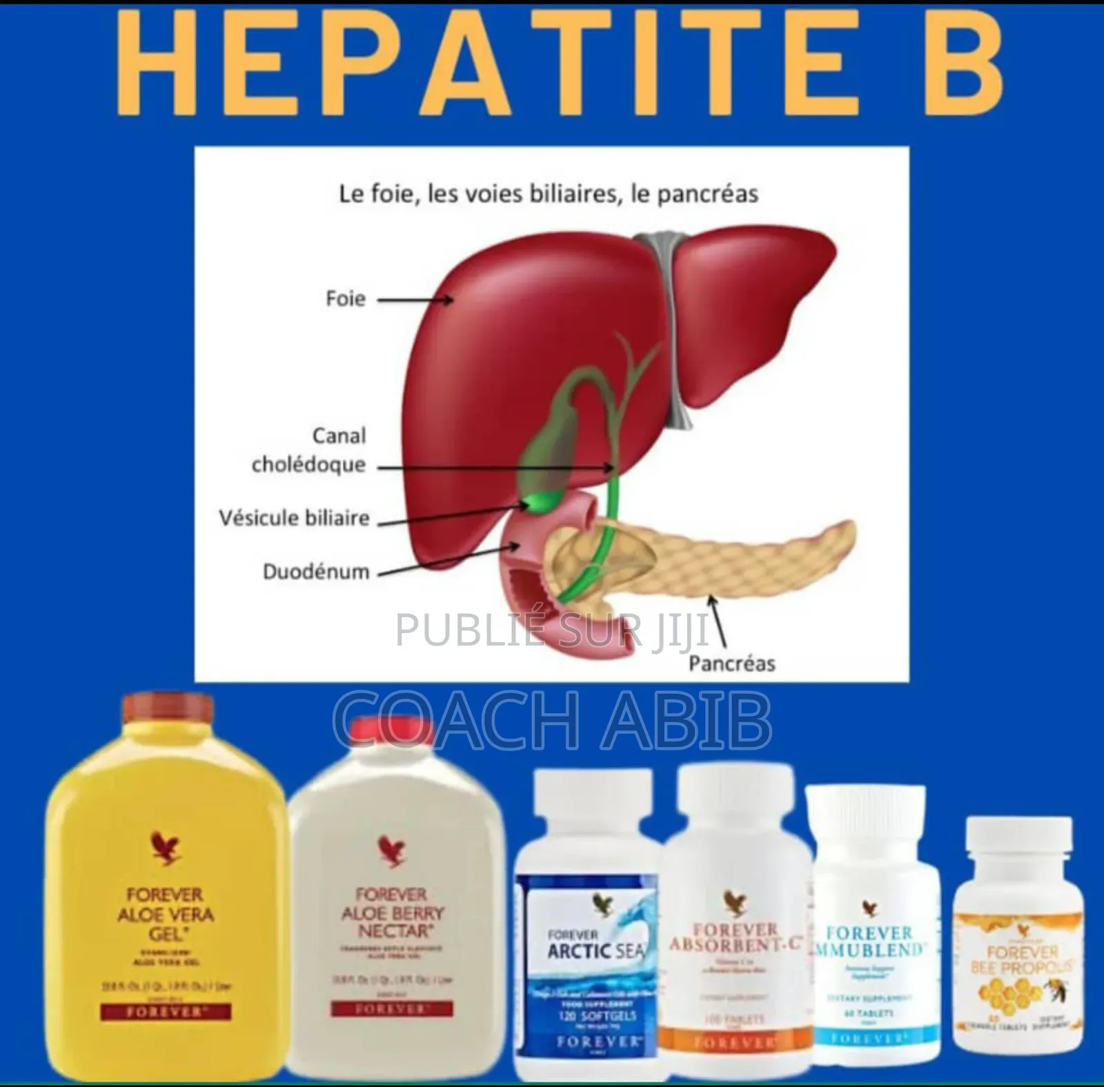 Cure Hépatite B