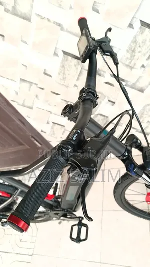 E-Bike VTC Riverside 500 