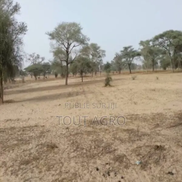 Terrain De 1,56 Hectare Vers Keur Samba Kane