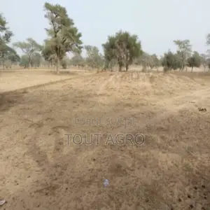 Terrain De 1,56 Hectare Vers Keur Samba Kane