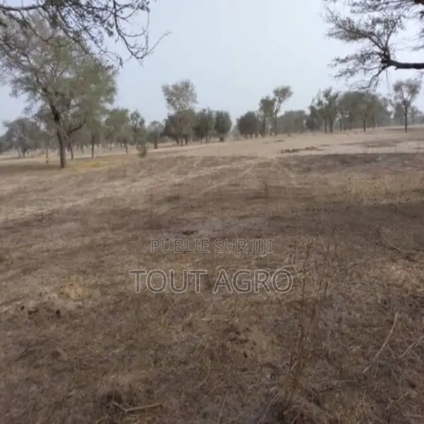 Terrain De 1,56 Hectare Vers Keur Samba Kane