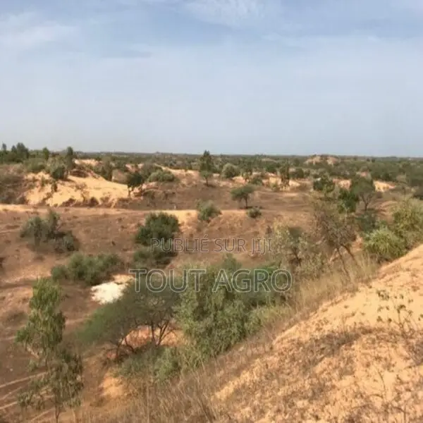 Terrain De 1,59 Hectare À Diokoul Diawrigne