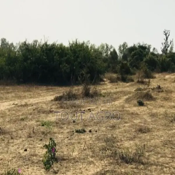 Terrain De 1,6 Hectare Vers Diender