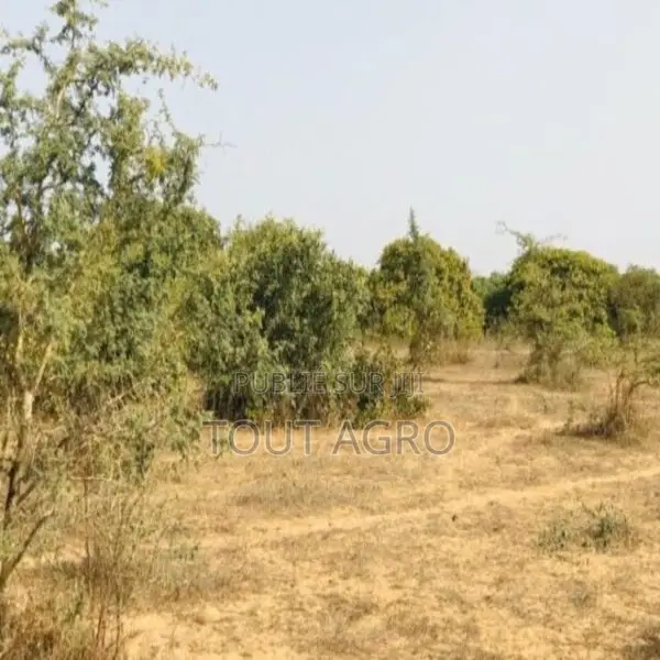 Terrain De 1,6 Hectare Vers Diender