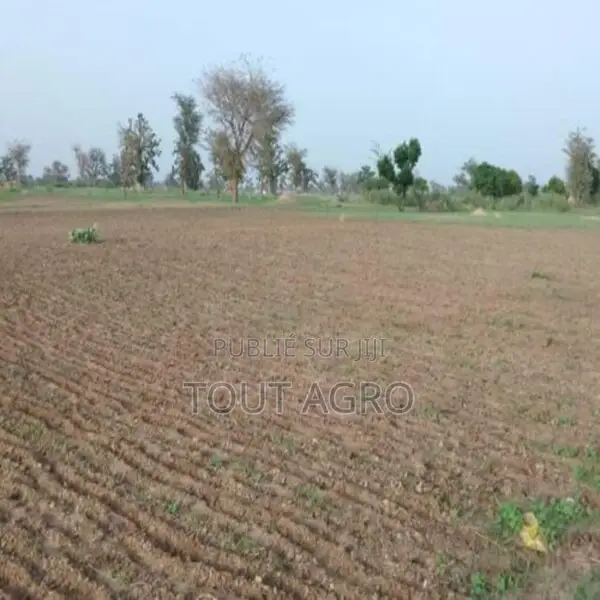 Terrain De 1,71 Hectare Vers Sandiara