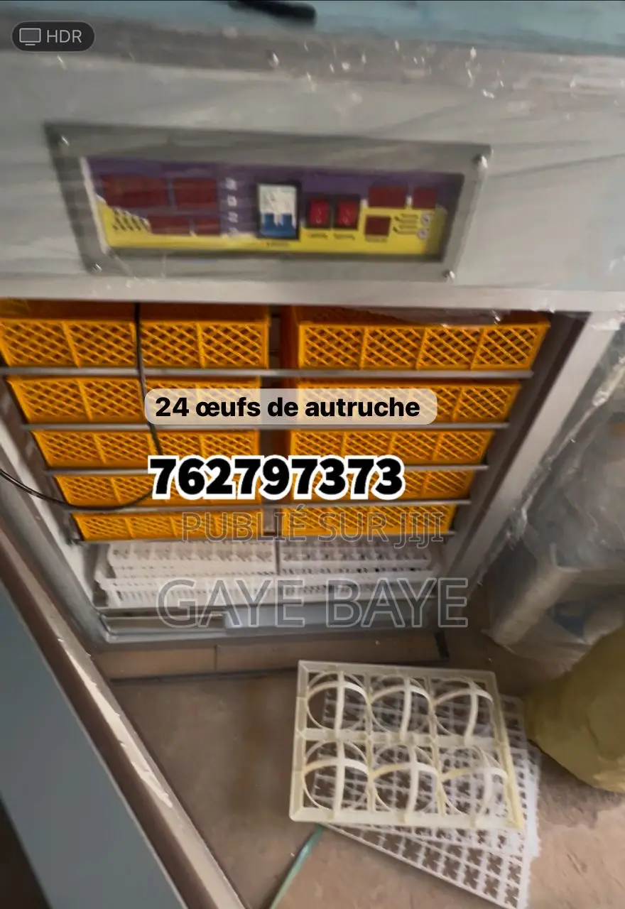 Couveuse Automatique Importé