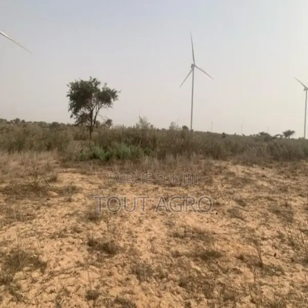 Terrain De 1,72 Hectare Vers Taiba Ndiaye