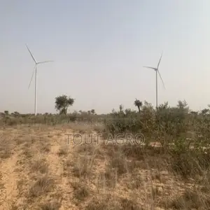 Terrain De 1,72 Hectare Vers Taiba Ndiaye