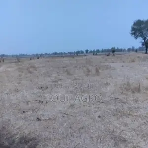 Photo - Terrain De 1,73 Hectare Vers Niakhar