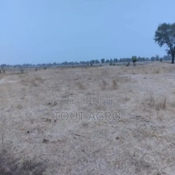 Terrain De 1,73 Hectare Vers Niakhar