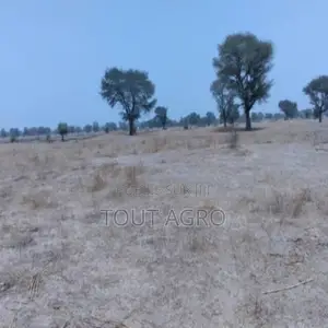 Terrain De 1,73 Hectare Vers Niakhar