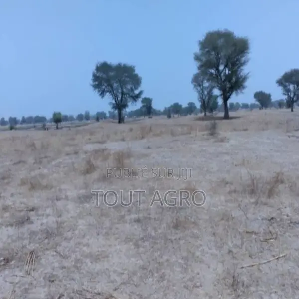 Terrain De 1,73 Hectare Vers Niakhar