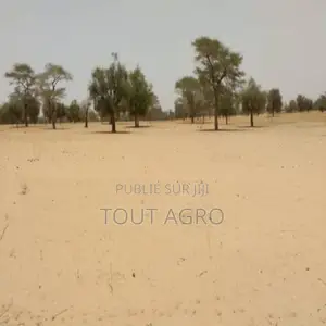 Photo - Terrain De 1,81 Hectare Vers Baba Garage