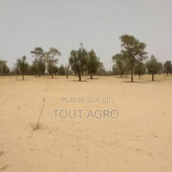 Terrain De 1,81 Hectare Vers Baba Garage