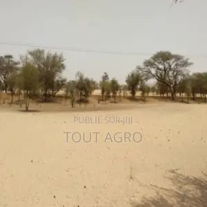 Terrain De 1,81 Hectare Vers Baba Garage