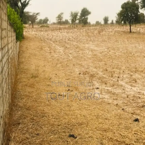 Terrain De 1,81 Hectare Vers Keur Samba Kane