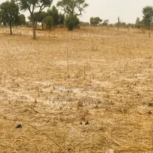 Terrain De 1,81 Hectare Vers Keur Samba Kane