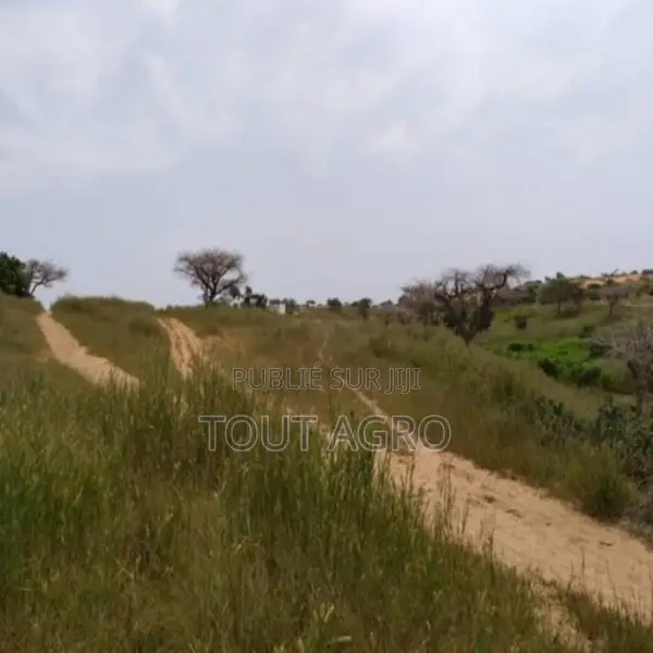 Terrain De 1,83 Hectare Vers Diokoul Diewrigne