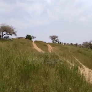 Terrain De 1,83 Hectare Vers Diokoul Diewrigne