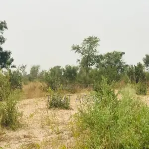 Photo - Terrain De 1,87 Hectare Vers Méouane