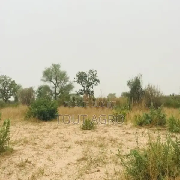 Terrain De 1,87 Hectare Vers Méouane