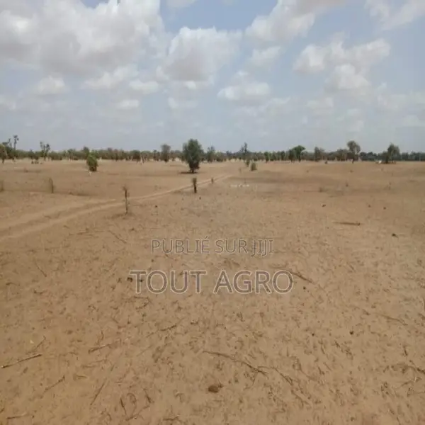 Terrain De 1,87 Hectare Vers Touba Toul