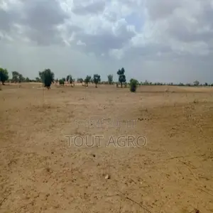 Terrain De 1,87 Hectare Vers Touba Toul